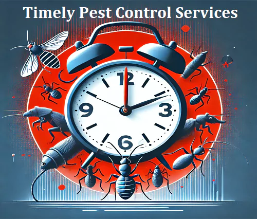 Timely Pest Control Services in Carlton